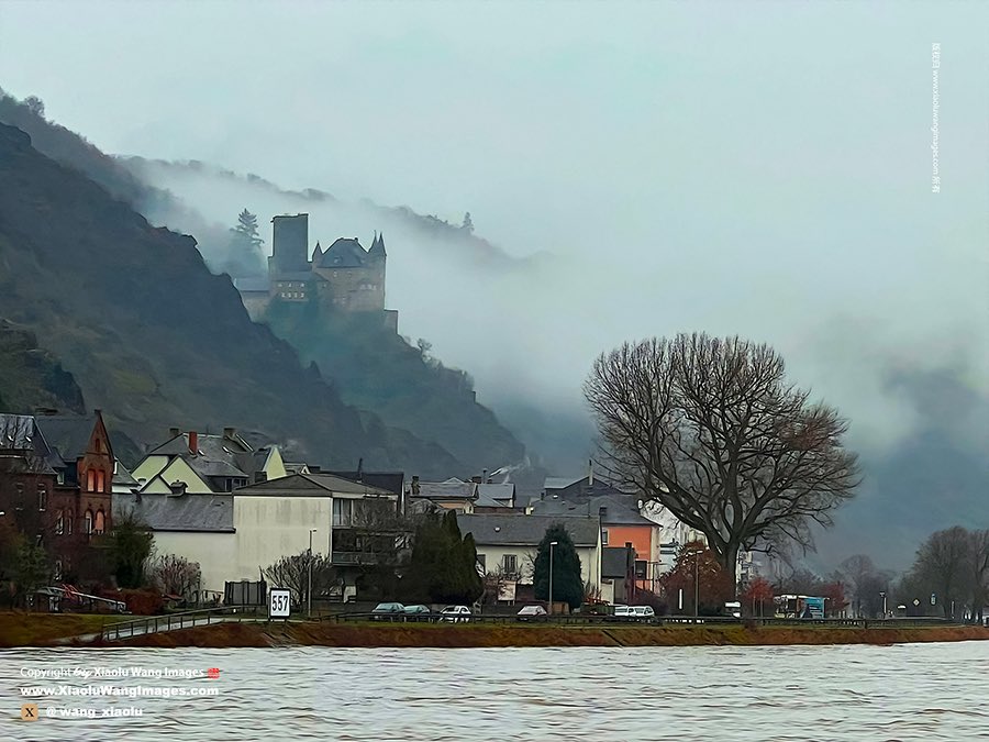 Xiaolu Wang tweet media