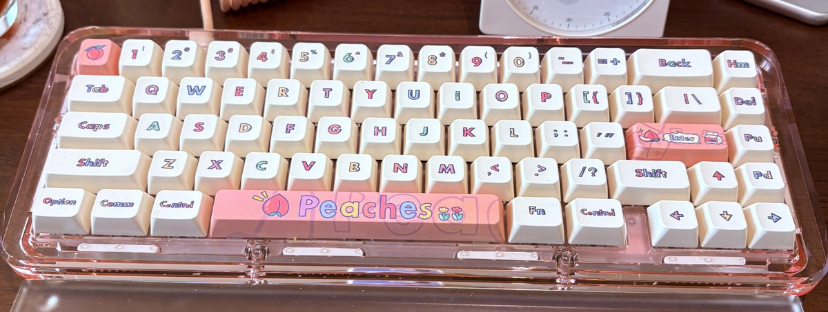 강해일 tweet media