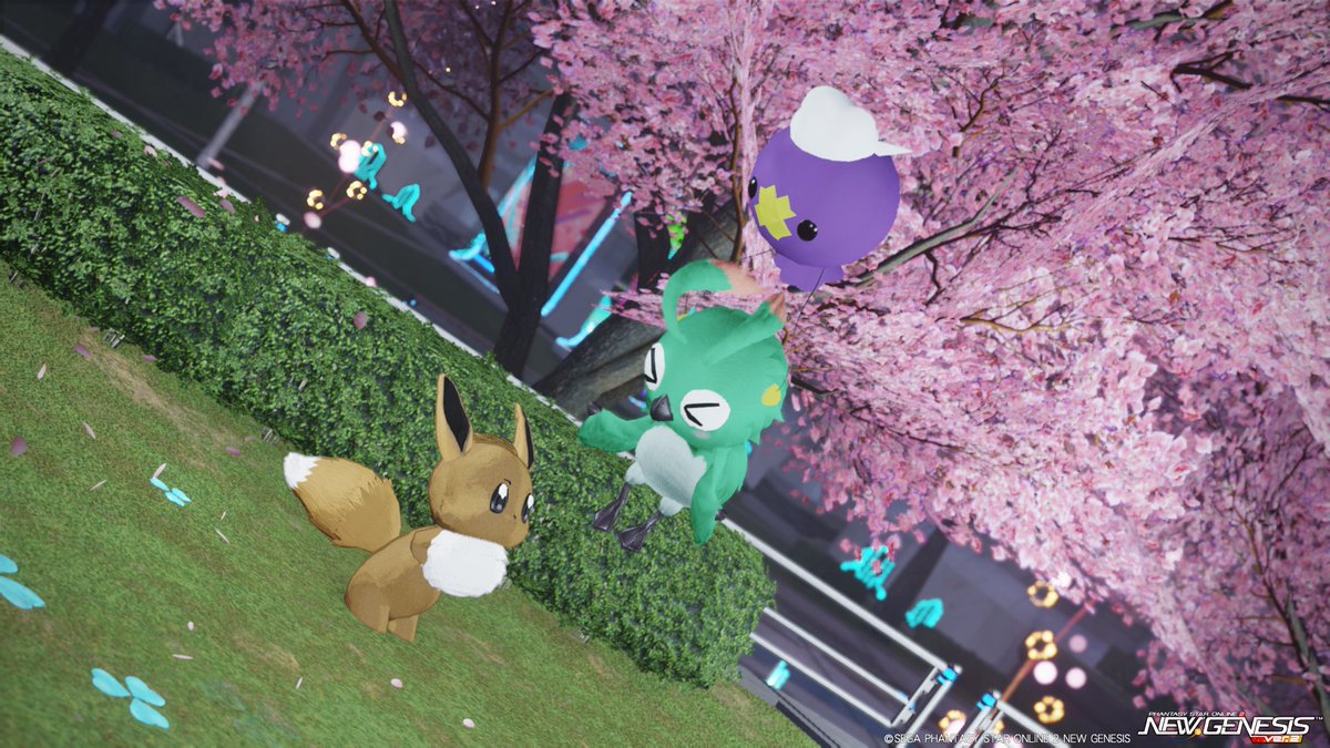 ナナカード_Ship6_NGS_PSO2 tweet media