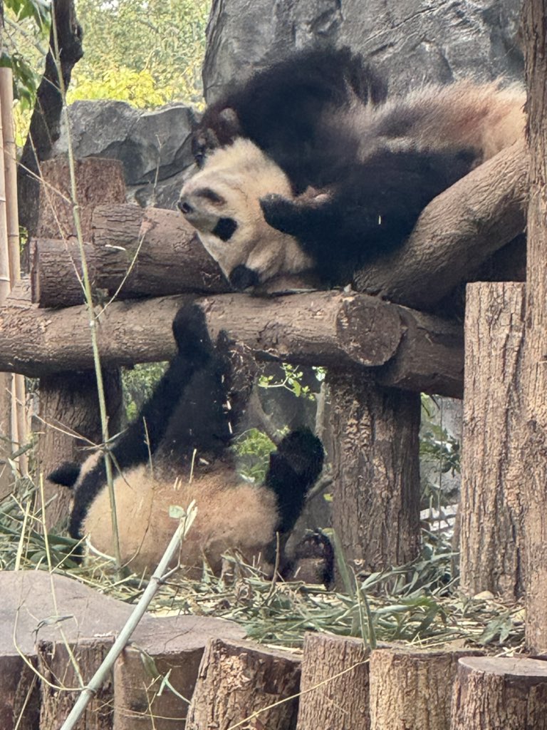 しょーこ tweet media