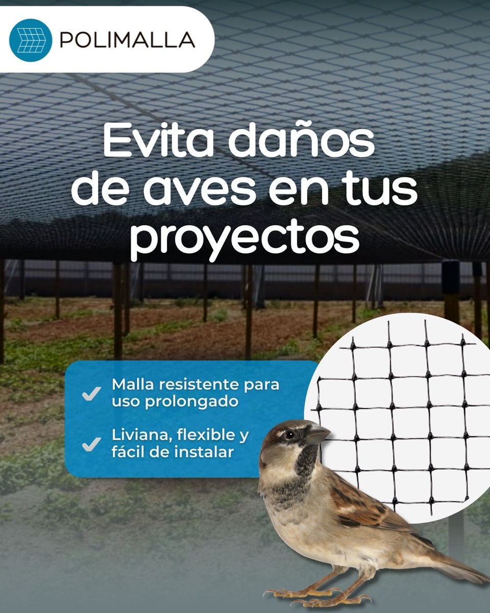 PoligrupEc's tweet photo. 🔴🦅 Protege tu cosecha antes de que empiecen las pérdidas.

Nuestra Malla Antipájaros crea una barrera eficaz contra aves sin afectar la ventilación ni la entrada de luz.
#MallaAntipajaros #AgriculturaEficiente #ProtecciónDeCosechas #Polimalla #FrutasSeguras https://t.co/1Gx0Xrvr0n