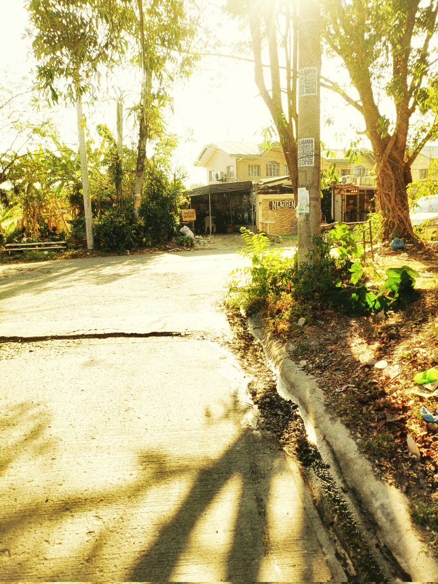 star0beri__'s tweet photo. went for a walk! the sun was nice :) https://t.co/5CsISnAvJG