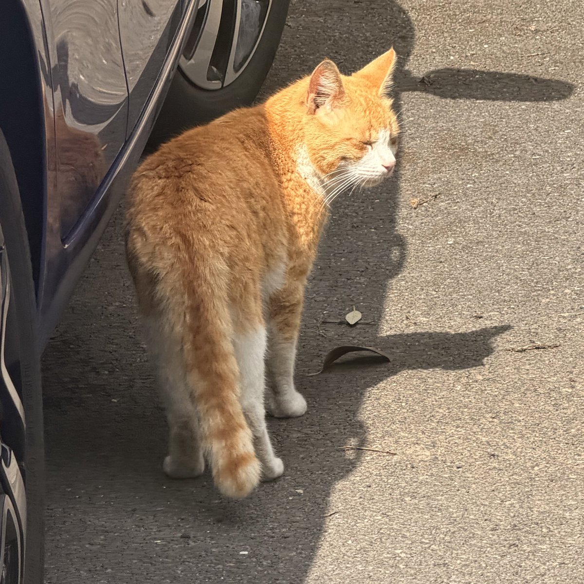 telly ☢️ • 7 days 🎂 tweet media