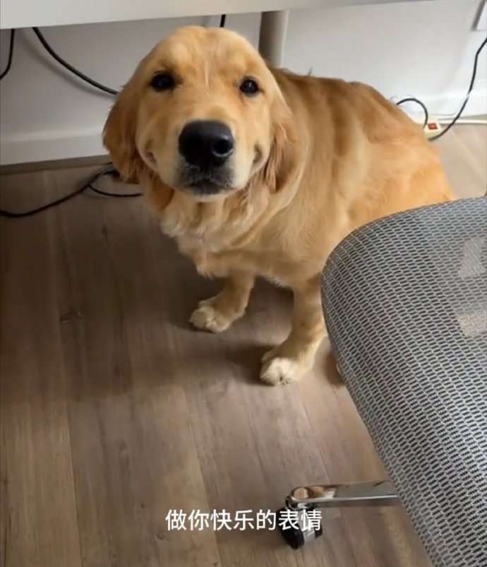 Martin Manuel Moya tweet media