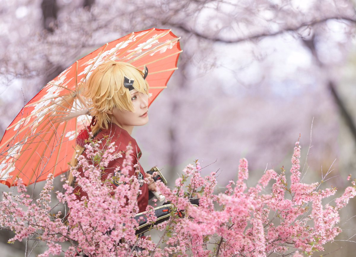 ユウ🕊🍃 tweet media