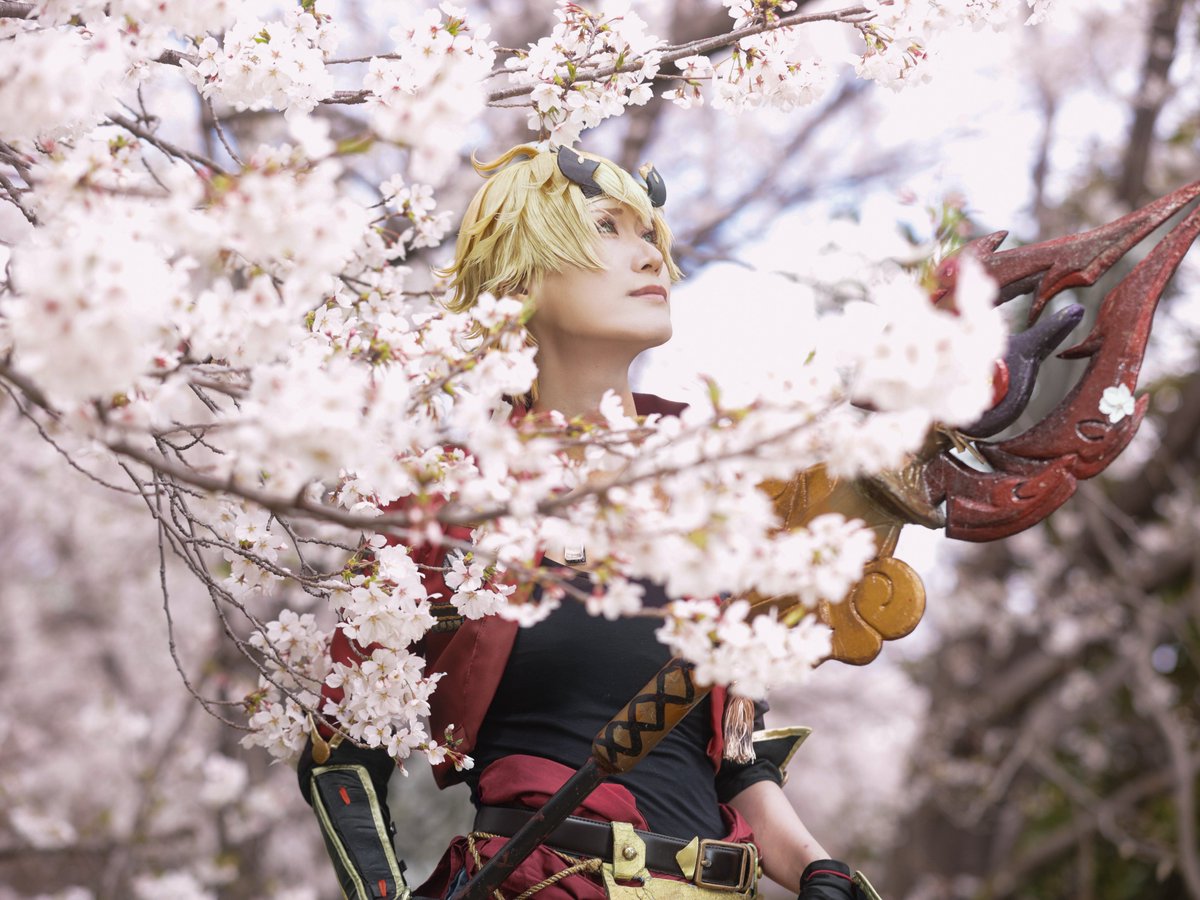 ユウ🕊🍃 tweet media