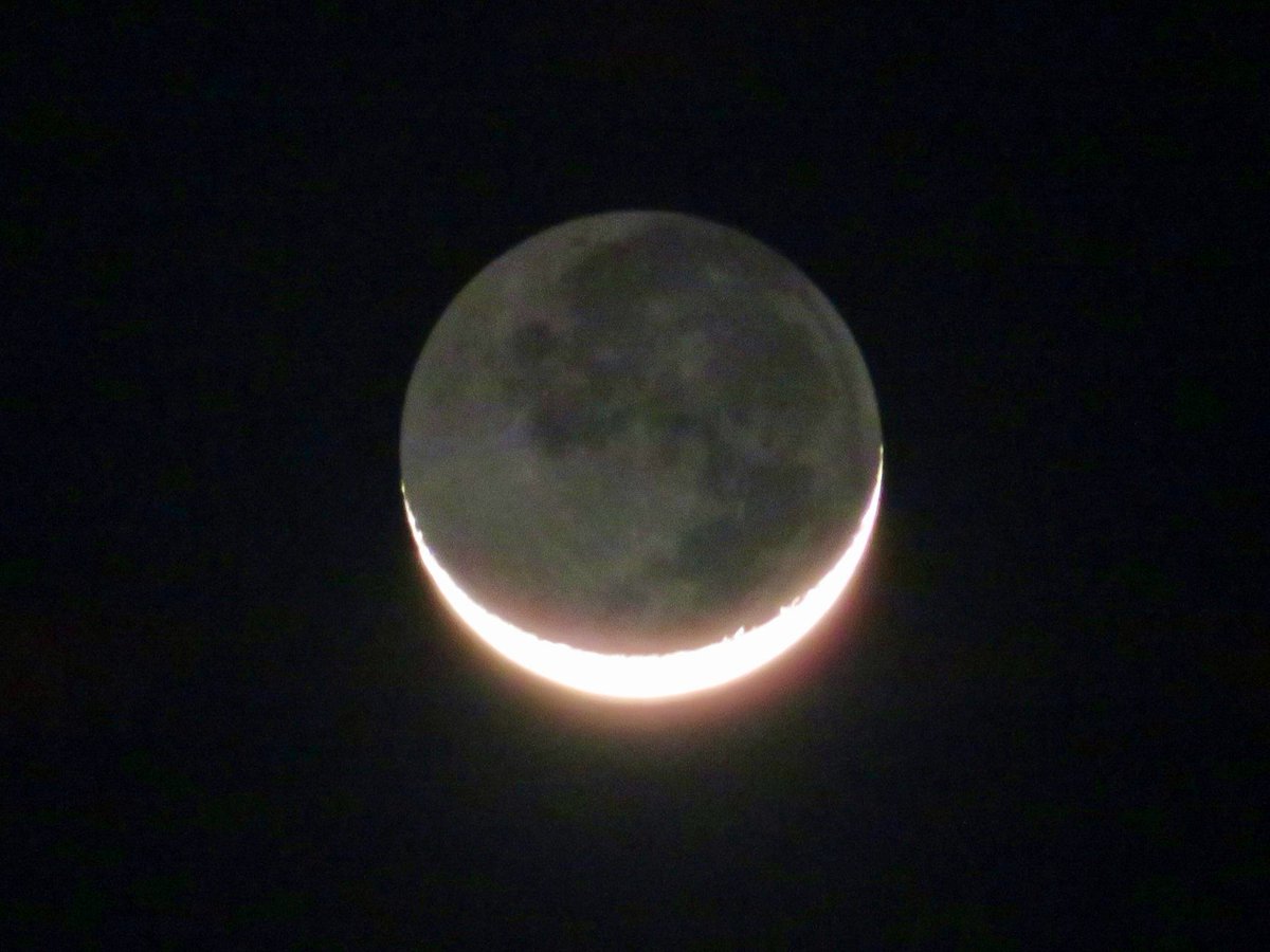 荒木健太郎 tweet media