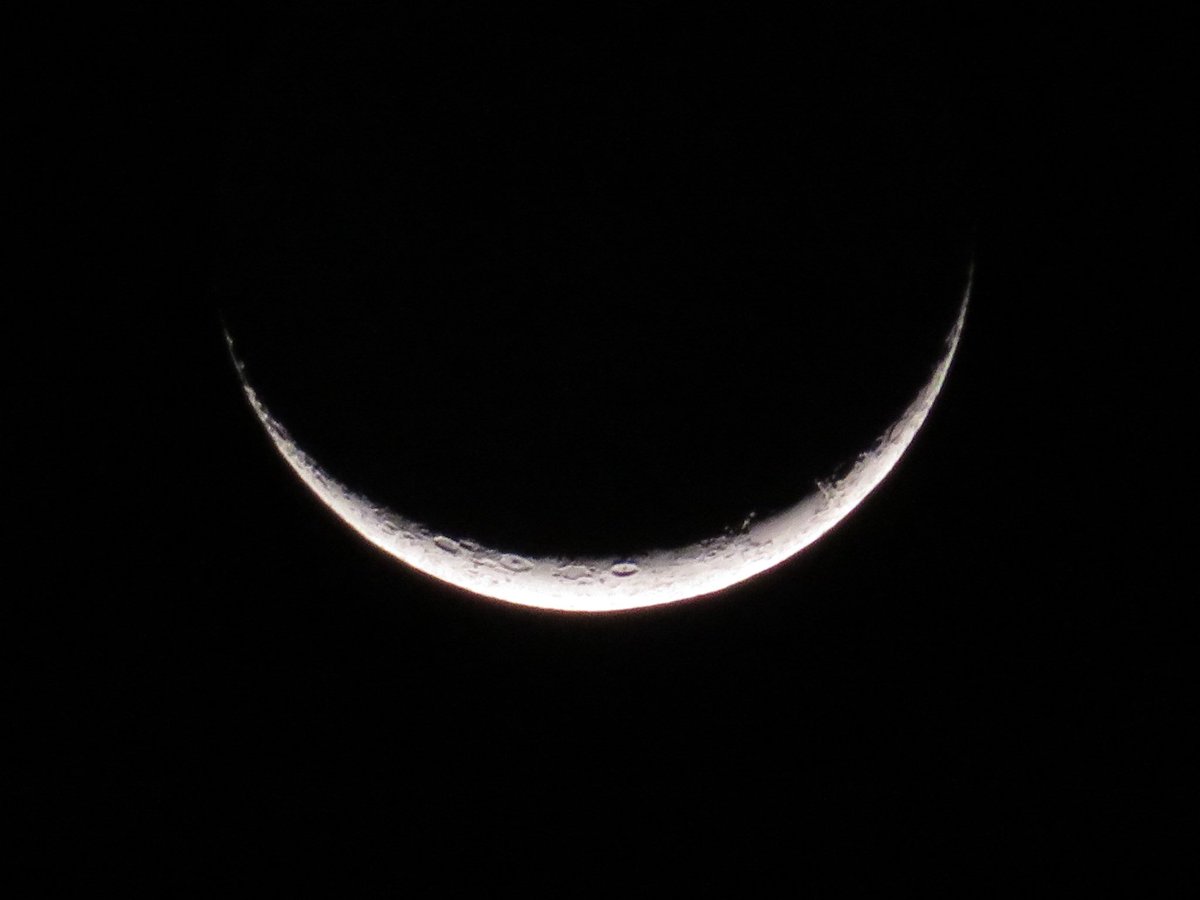 荒木健太郎 tweet media