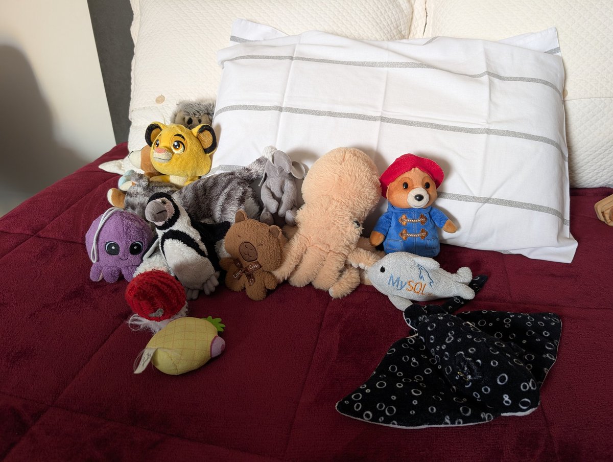 The gang