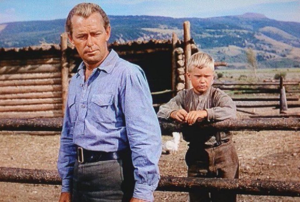 Miles Commodore tweet media