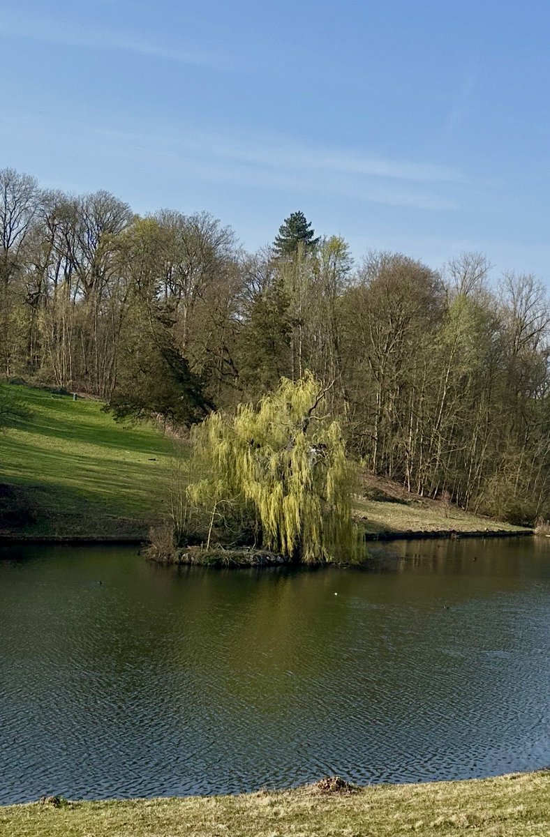 Ricardo Borges de Castro 🇺🇦🇬🇱🟧 tweet media