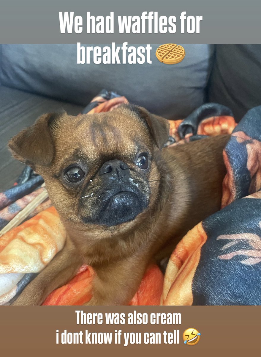 🕸️ 𝕸𝖚𝖗𝖓𝖎𝖓𝖌𝖘𝖙𝖆𝖗 🕸️ tweet media