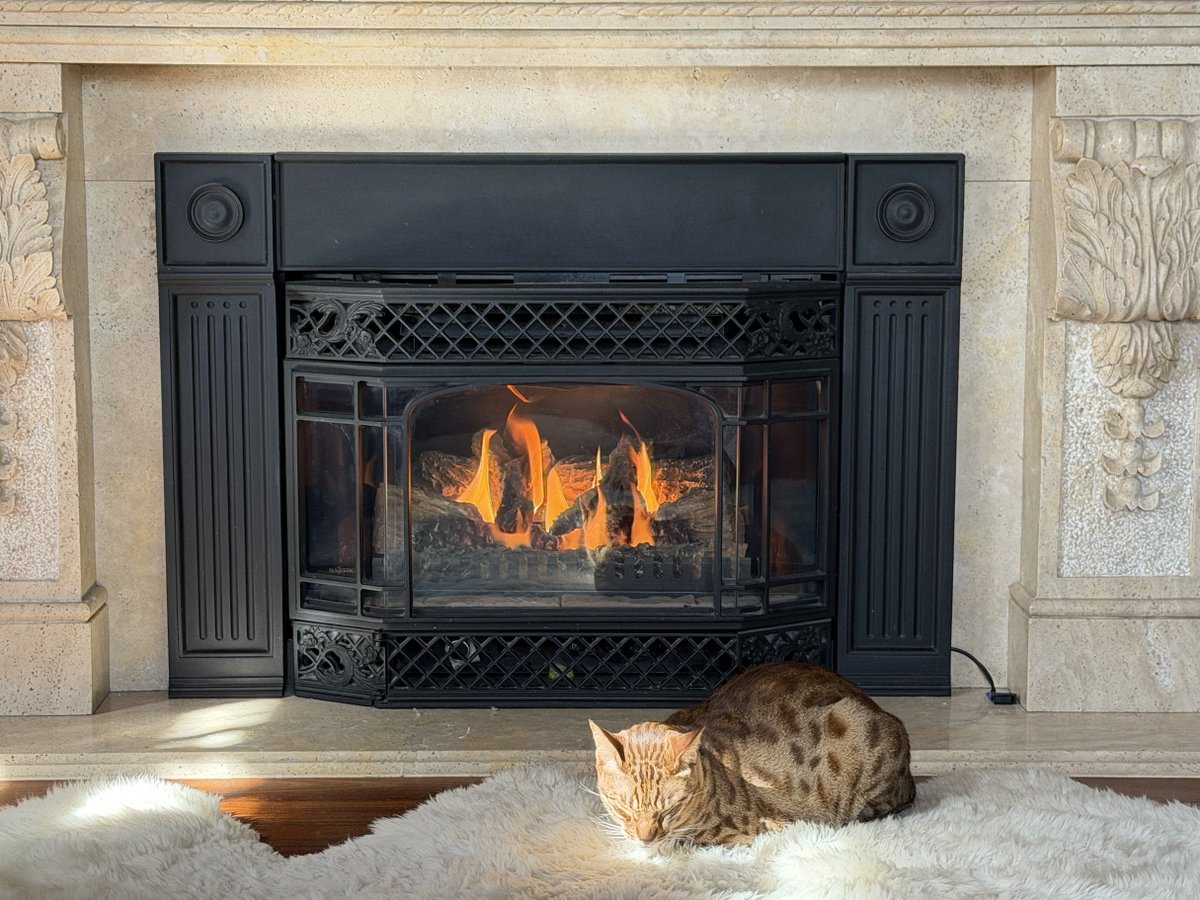 Abe Murray tweet media