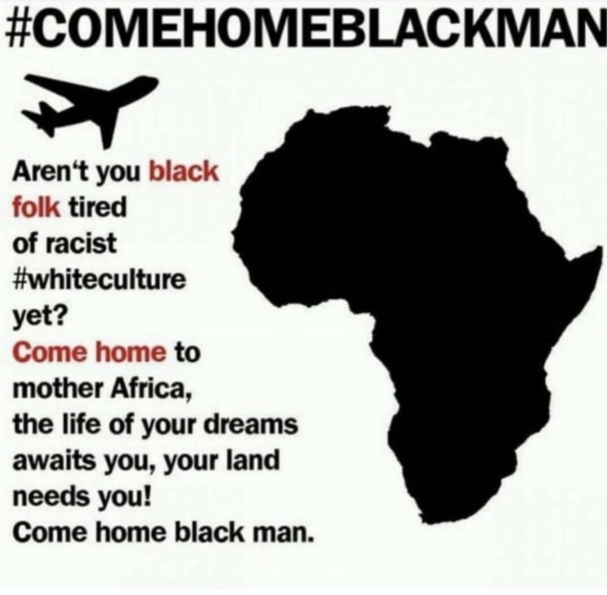 Giselle von Zemne tweet media