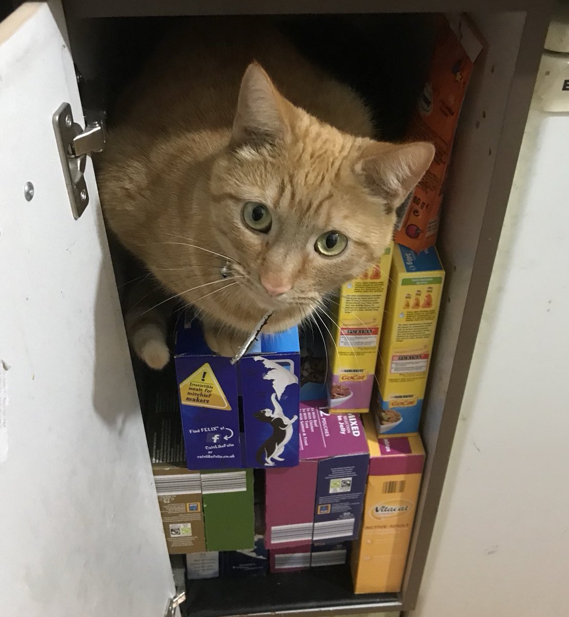 Passing Strangers💙💛 tweet media