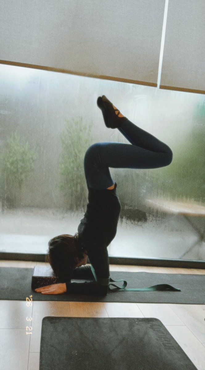 ♱ 𝔓𝔲𝔯𝔯𝔠𝔞𝔱 猫 ♱ (🇨🇳chinesemaxxing) ✩⡱ tweet media