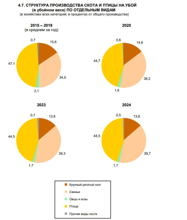 CodeFlyPigs tweet media