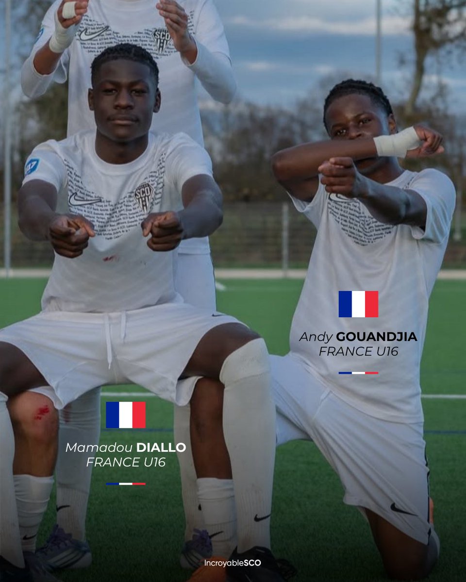 Incroyable SCO tweet media