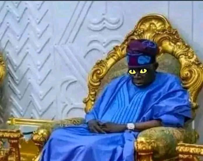 Afia Dimple🦋 tweet media