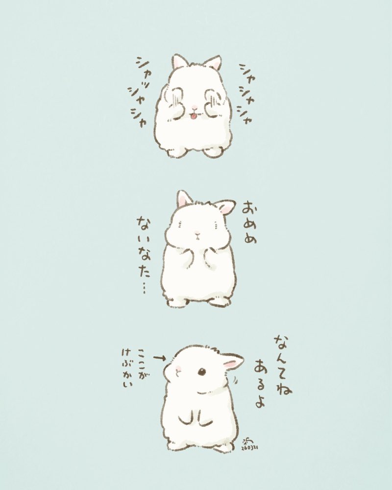 大賀一五🐰書籍発売中 tweet media