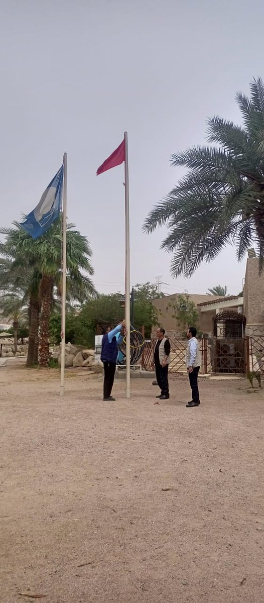 Aqaba Marine Reserve محمية العقبة البحرية tweet media