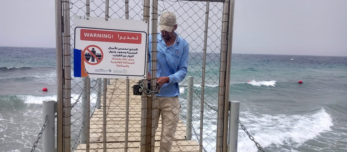 Aqaba Marine Reserve محمية العقبة البحرية tweet media