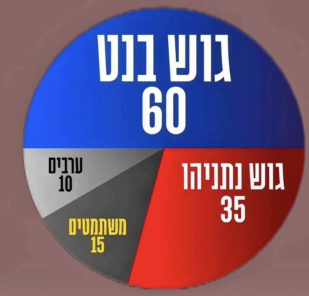 David Gillerman tweet media