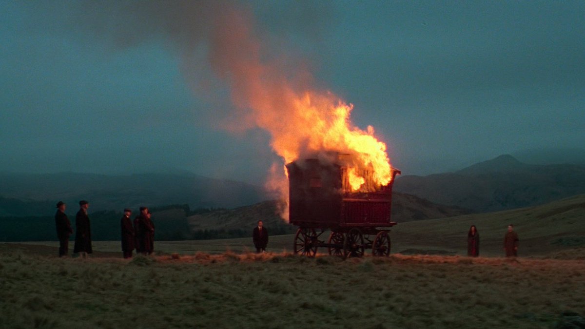 koreanoli tweet media