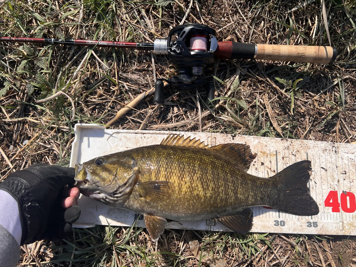 shift_down tweet media