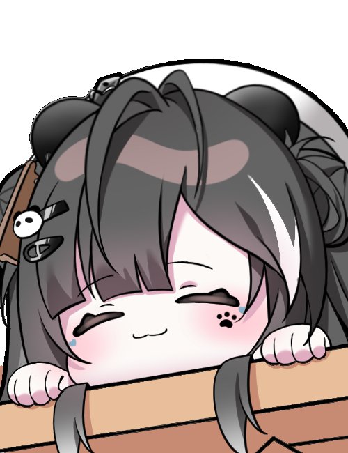 依珂小魚兒 tweet media