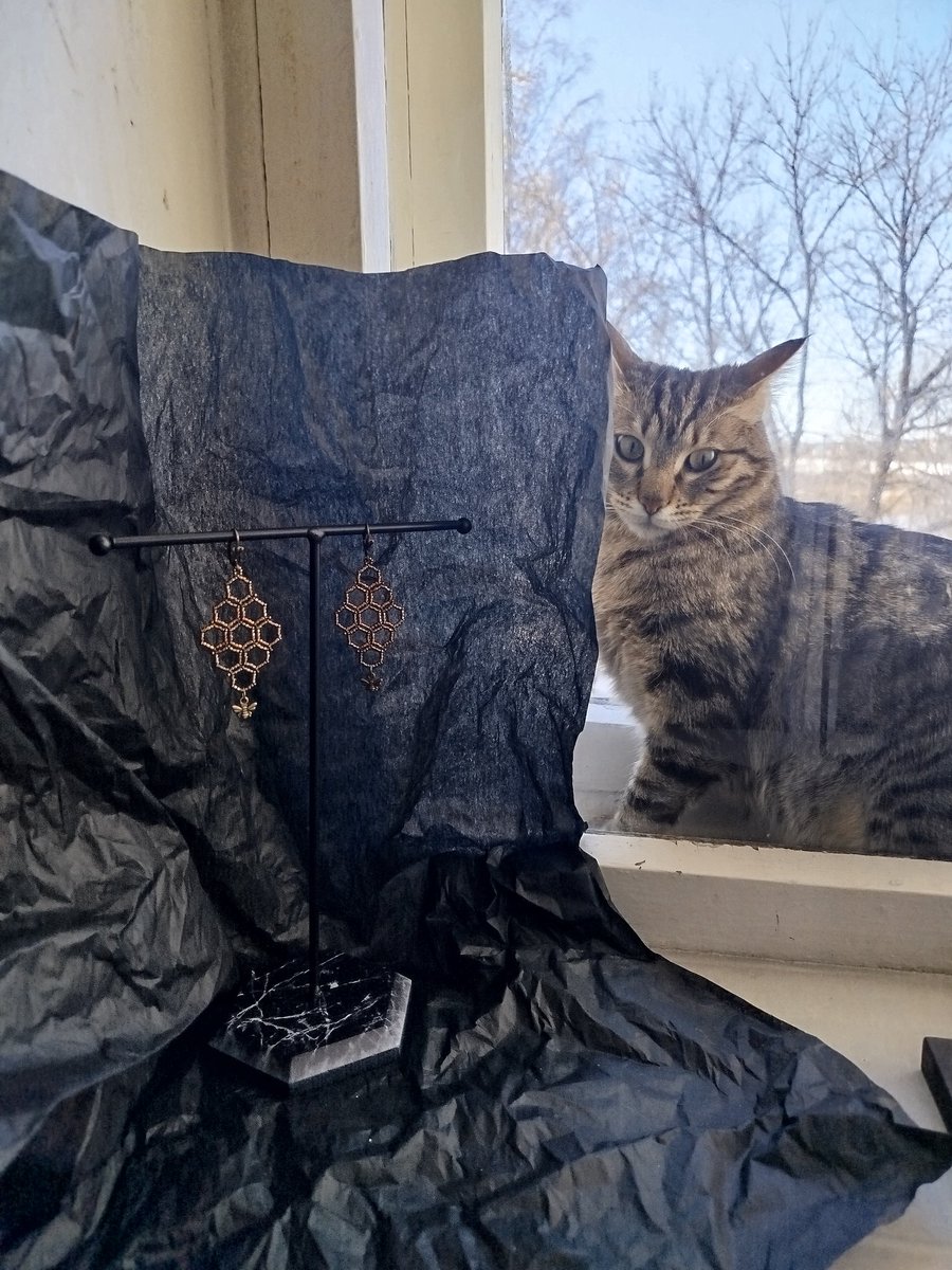 она же лес tweet media