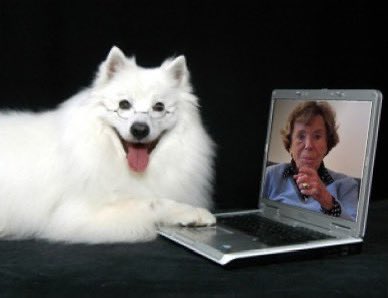 hennissement tweet media