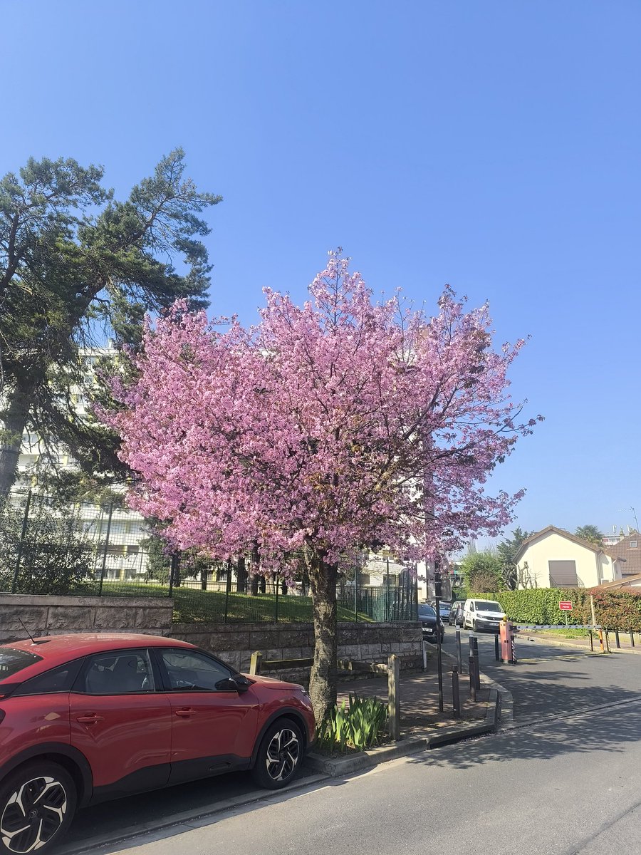 Kouy 🇨🇵💛💙 tweet media