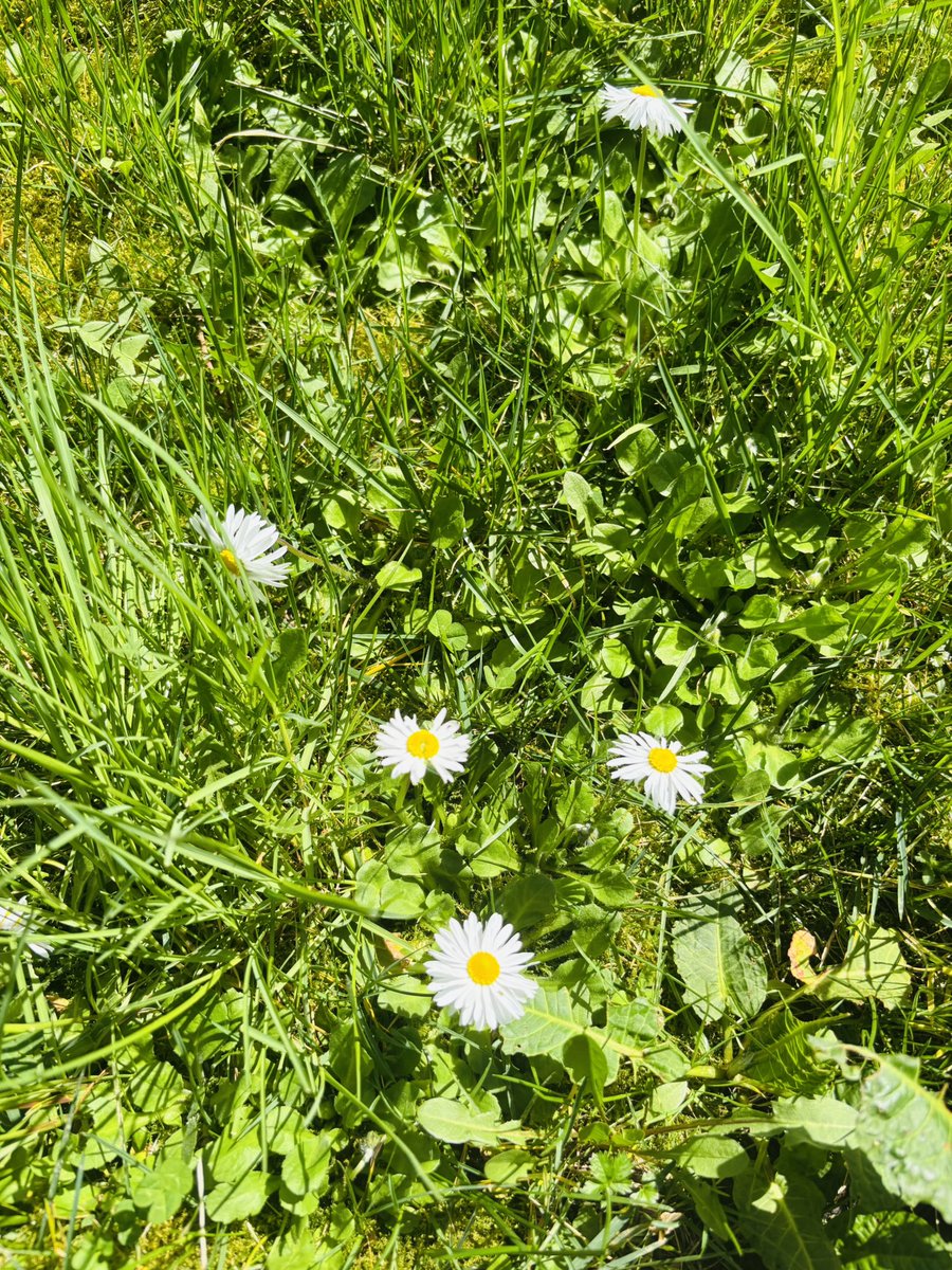 M@r@M@m@T@♥️ tweet media