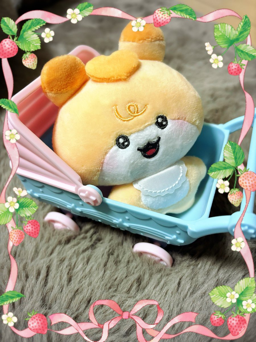 ベビーカー入れてみた😆