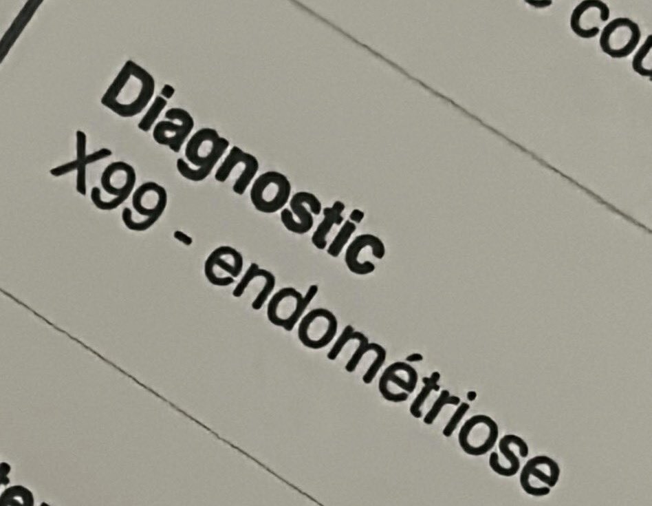 ₊⁺ 𝒉𝒐𝒓𝒓𝒐𝒓 𝒃𝒂𝒓𝒃𝒊𝒆 ‧⁺ tweet media