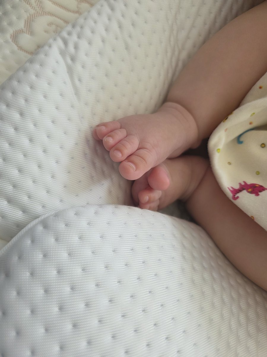 🌪️종이🍰 tweet media