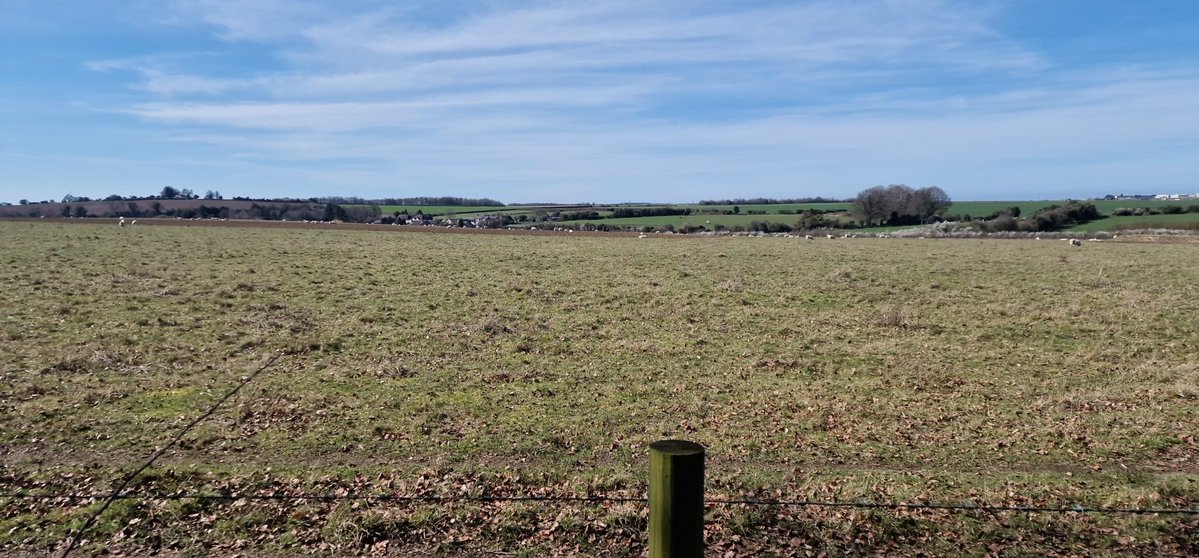 Wildwood Nature Photography (Lee) Ⓥ tweet media