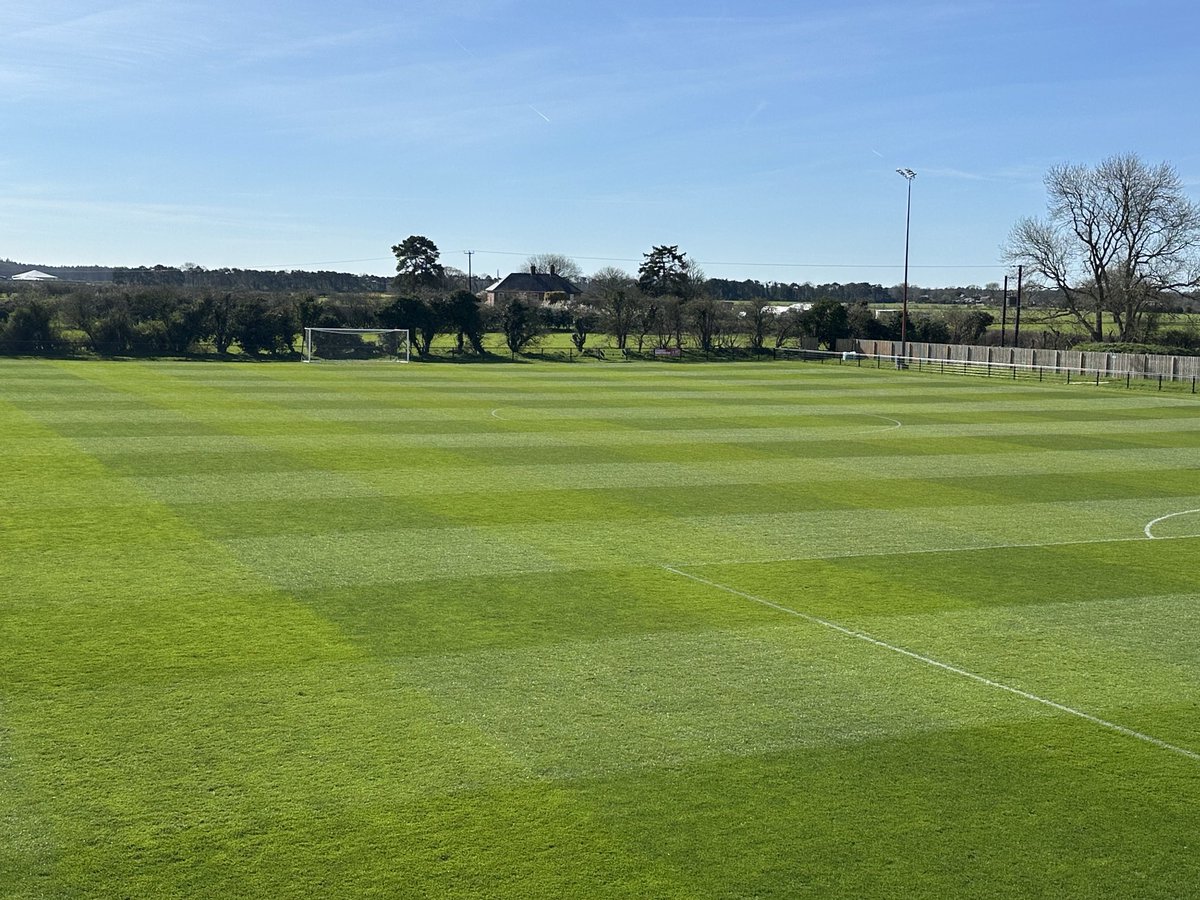 Peter Alvis tweet media