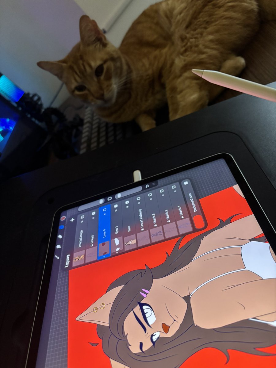 Lawzenvol 🐾 tweet media