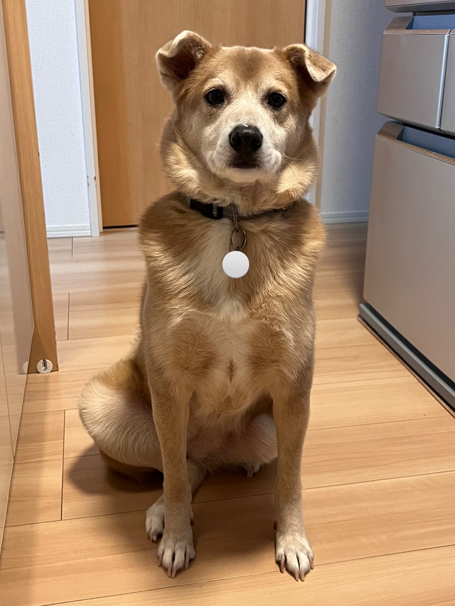 たまにとんでもない座り方しててビックリする