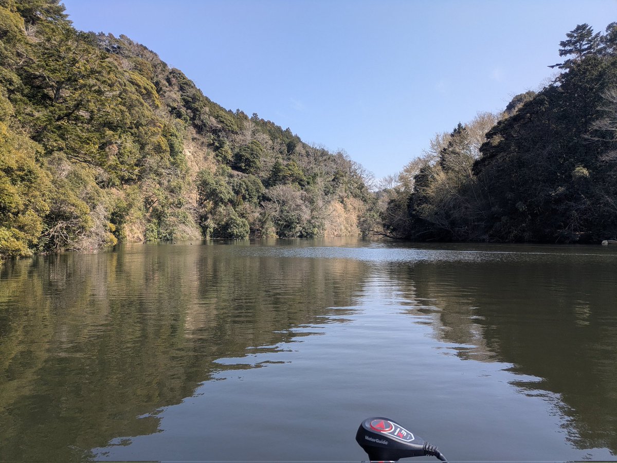 マーハー🦅相模湖バス釣り tweet media