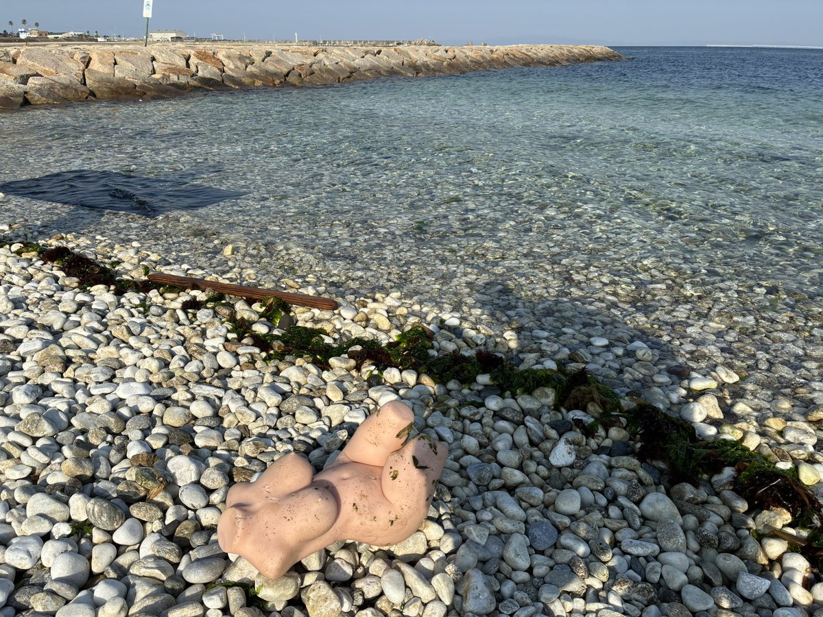 CrazyTaizo's tweet photo. 今朝、大阪湾で家族旅行中にダッチのワイフ見た( ^ω^ ) https://t.co/iYo3qb0DOv