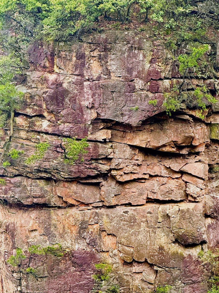 Jake Crossett tweet media