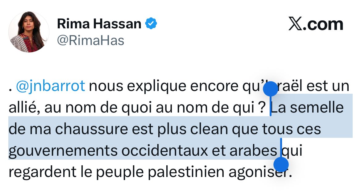 La marchande de la cause utilise des expressions venues directement de l’arabe syrien. Leur traduction est encore plus vulgaire en arabe. Cette phrase en arabe est le signe d’une haine démesurée et une insulte qui pourrait justifier la violence. 
En réalité, cette phrase montre
