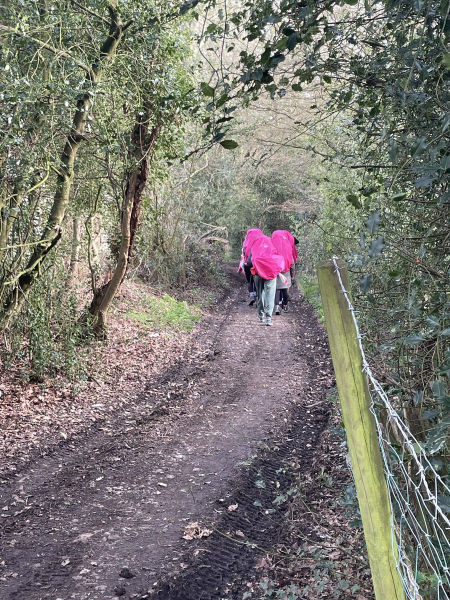 CDSPhysEd tweet media