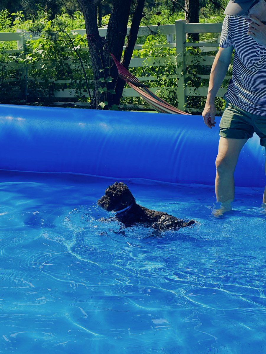 Mollyy Clarkk ✨ tweet media