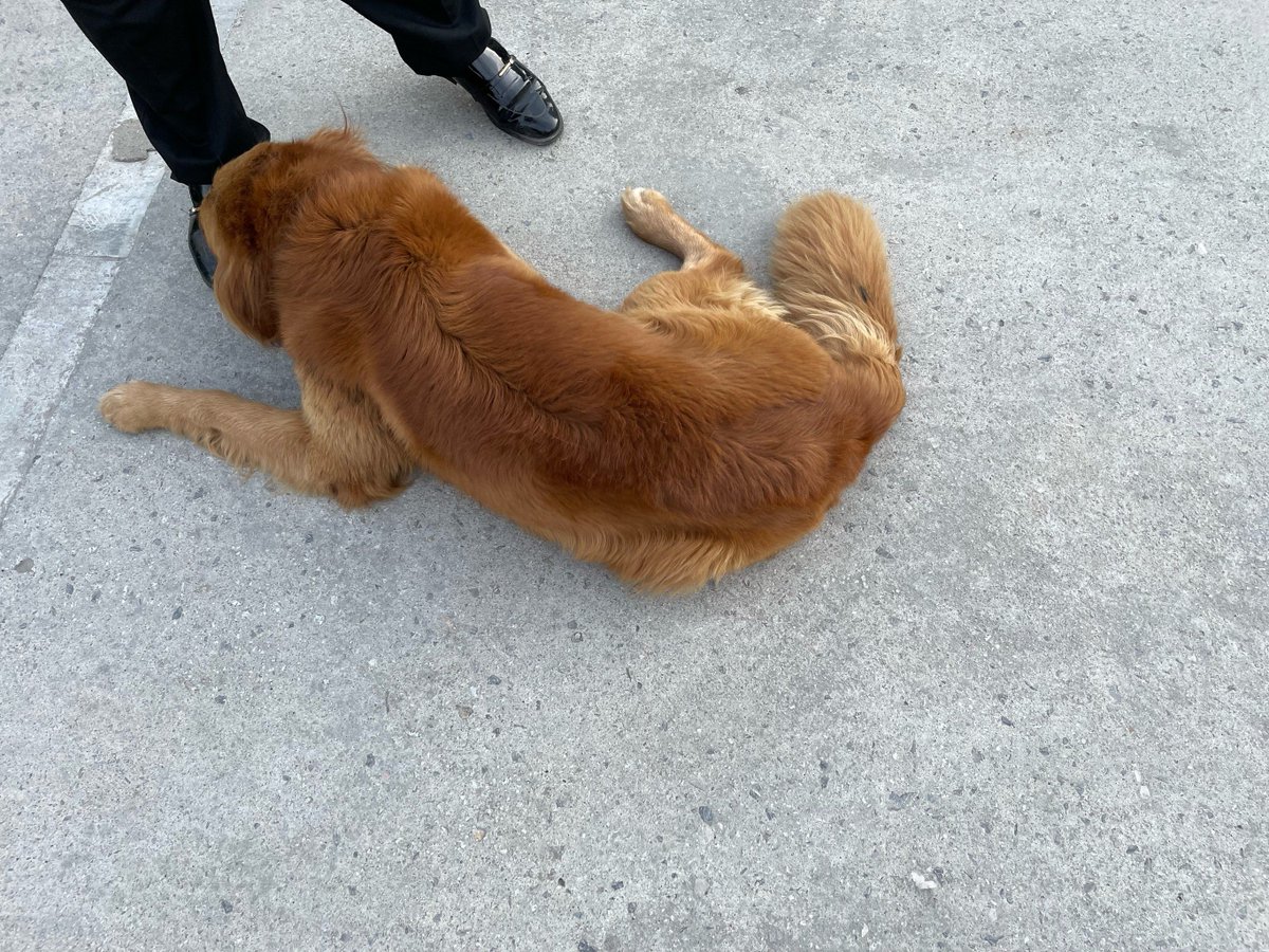 Charles Cullinane tweet media