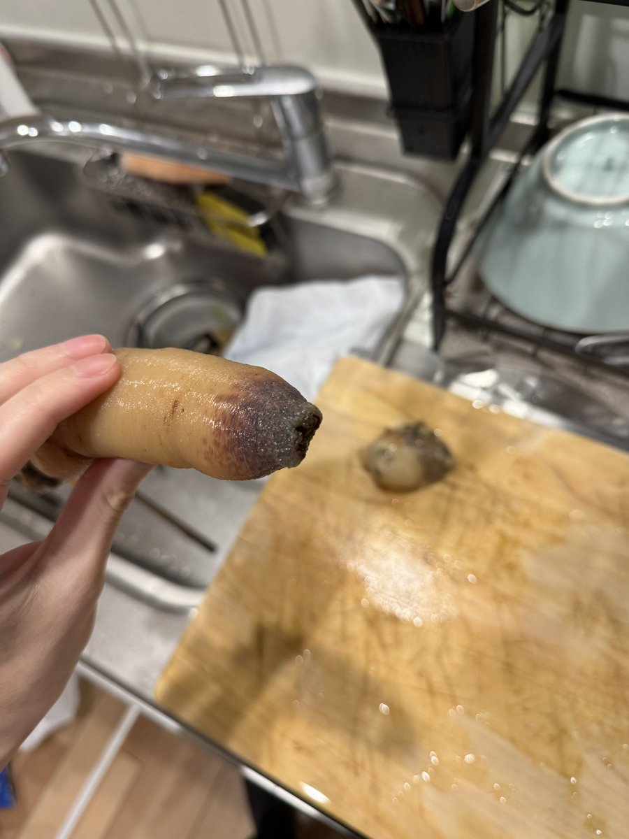 くまンモ tweet media