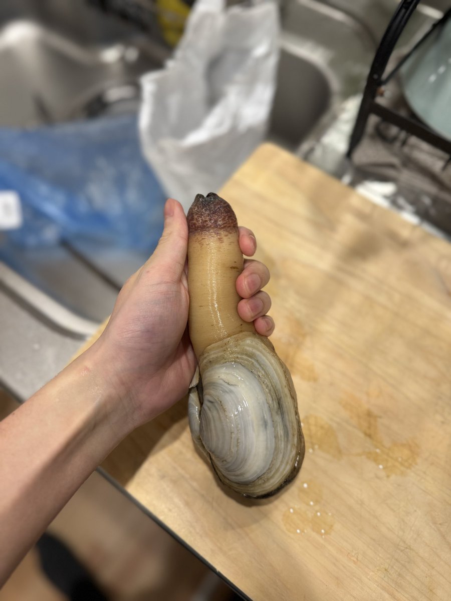 くまンモ tweet media